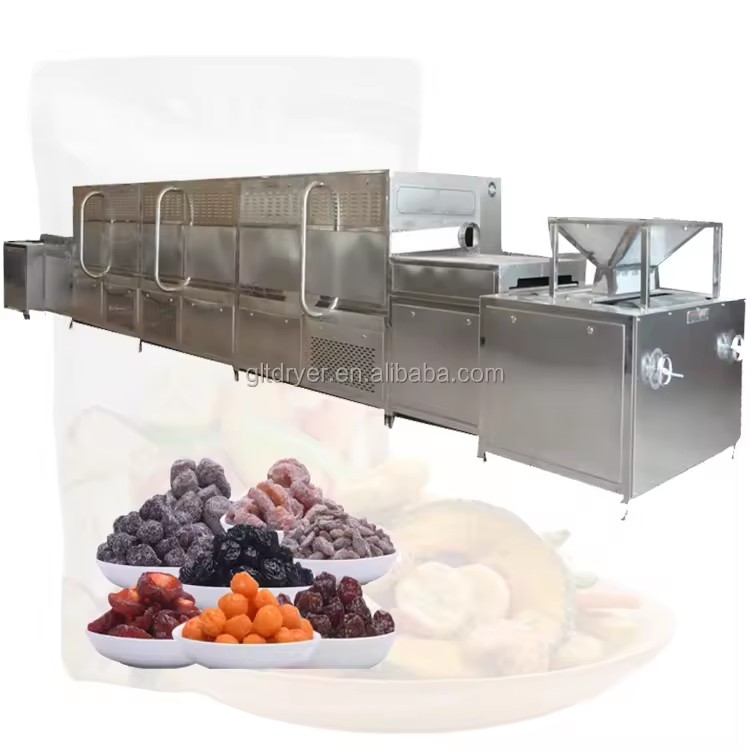 Small Farm Fruit and Vegetable Electric Heating Drying Equipment Double-layer Mesh Belt Dryer
