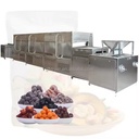 Small Farm Fruit and Vegetable Electric Heating Drying Equipment Double-layer Mesh Belt Dryer