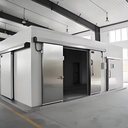 Big Capacity Solar-Powered Automatic Modular Cold Room for Frozen Food & Seafood Processing with Engine & Motor