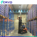 Fruit Banana Mango Ripening Cold Storage Room with Engine Motor Pump Eco-Friendly Energy Saving