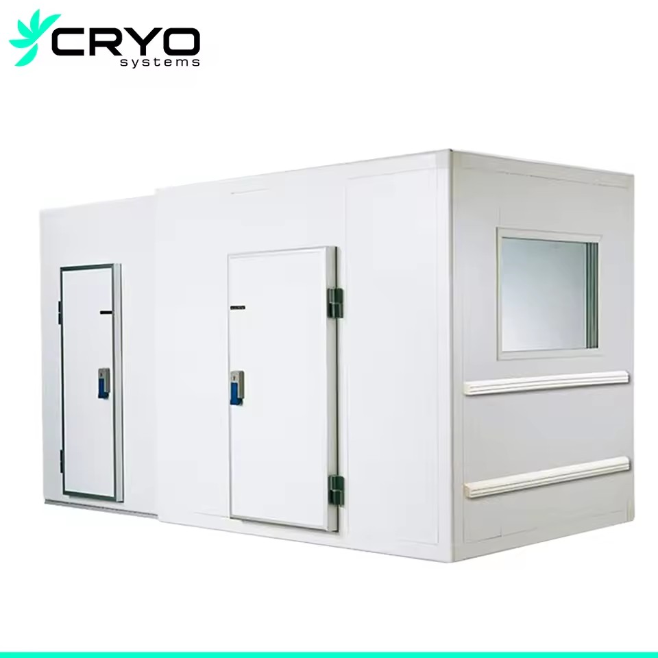 All-in-One Frozen Food Cold Storage Room with Motor & Pump for Fruits and Vegetables Energy Saving