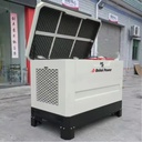 25KW LPG Natural Gas Generator 26KW 230V 400V Silent Petrol Generator Electric Start Three Phase CG14 Electric Injection Engine