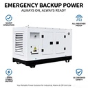 Industry Grade Three Phase Generator Diesel 40Kva 50 Kva Diesel Generator Caterpillar Weichai Diesel Generator 80 Kva