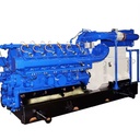 700kW Soundproof BioGas Electricity Generator