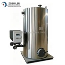 Biomass Steam Boiler Electric Auxiliary Heating CE Certified Low Pressure 0.09MPa Exempt Inspection Sawdust Straw Pellet