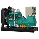 Biomass Electricity Syngas Generator 30kw 50kw to 2500 Kva Biogas Genset Natural Gas Power Turbine Generator Set for Sale