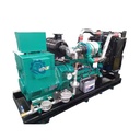 Turbine Biogas Natural Gas Syngas Generator Set for Electricity Generation IP55 220-480V