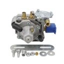Parts Pressure Reducer Gnv lpg Glp Gas Reducer AT13