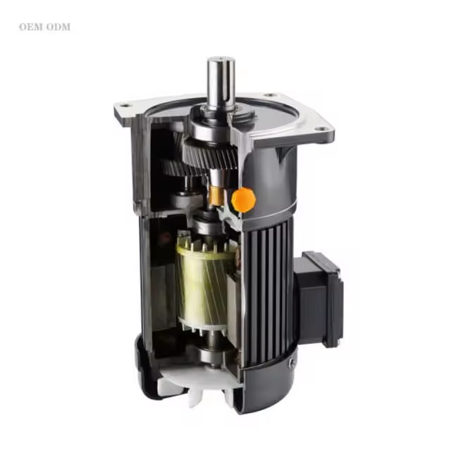 OEM ODM High Torque AC Gear Motor with Gearbox for Industrial Automation Machinery