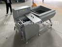 multifunctional vegetable washing machine fruit washer machine pepper washer