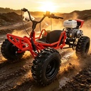 10-inch Tire 212cc Four Stroke Gasoline Off Road Go Kart Adult All Terrain Gas Powered Dirt Buggy for Recreation Outdoor Racing