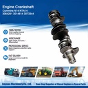 3064291 3014614 3073344 Engine Camshaft For N14 NTA14
