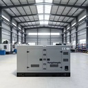 Silent 30kw 40kw 400A 500A Diesel Welding Generator MIG MAG TIG Arc 3 Phase 50/60Hz Water-cooled Electric