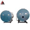 10 Ton Industrial Biomass Fired Hot Water Steam Boiler Automatic Control High Thermal Efficiency (90-95%) Environmentally