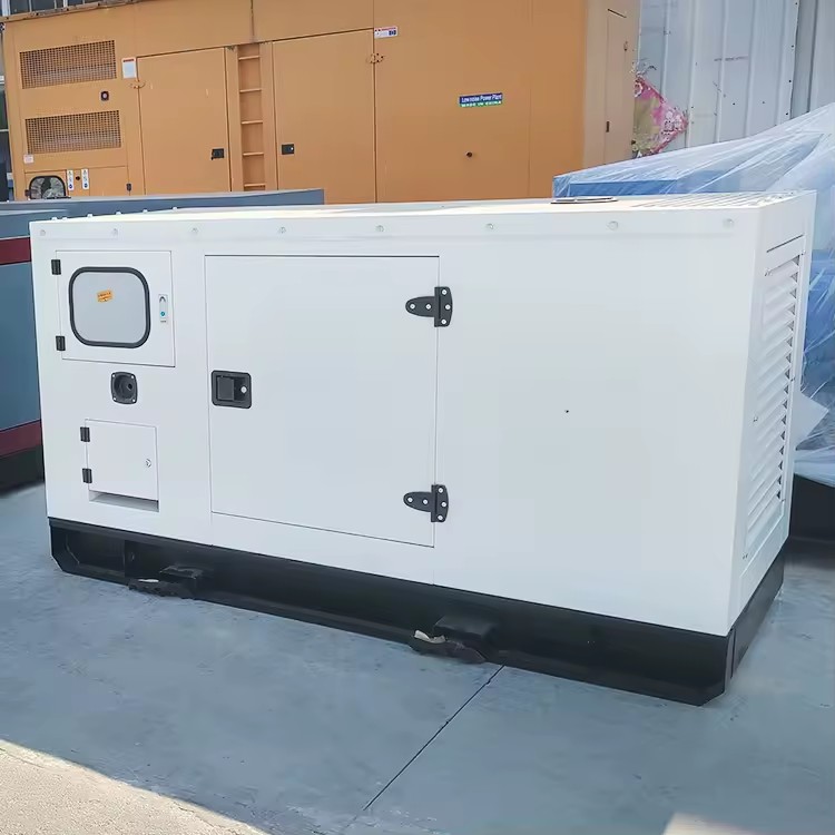 Ricardo 50 KVA 100KW 0.93 Efficiency Silent Diesel Generator Soundproof Canopy Auto Start 50/60Hz 110V-480V Single/3 Phase
