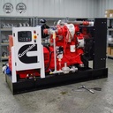 Home Standby Gas Genset 30KW 40KVA Natural Gas LPG Biogas Silent Power Plant 3 Phase 380V 400V CE ISO