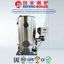 LSG Vertical Biomass Steam Generator Boiler for Liquor Vinegar Soy Sauce Cooking Distillation