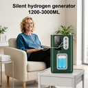 Generator Home Use 3000ml Silent Energy Saving Water Maker SPE PEM Electrolysis for Clinic Spa Salon