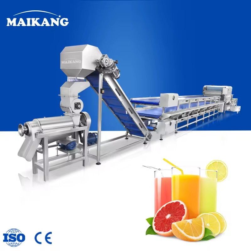 Customizable Small and Medium-sized Models Fruits Juice Extraction Process Equipment for Juice Processing Manufacturer