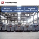 Biomass Wood Chips Steam Boiler 5 Ton 200 psi Pressure for Sale