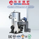 LSG 300kg/h Vertical Biomass Steam Generator 300kg/h 0.4MPa Low Cost Wood Pellet Fired Steam Generator