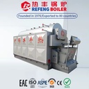 DZL Coal Biomass Dual Fuel Steam Boiler Chain Grate Automatic Feeding Industrial Horizontal Water Tube Boiler