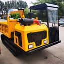 Mini Crawler Dump Truck Dumper with Engine Pump Gearbox for Mining and Transportation