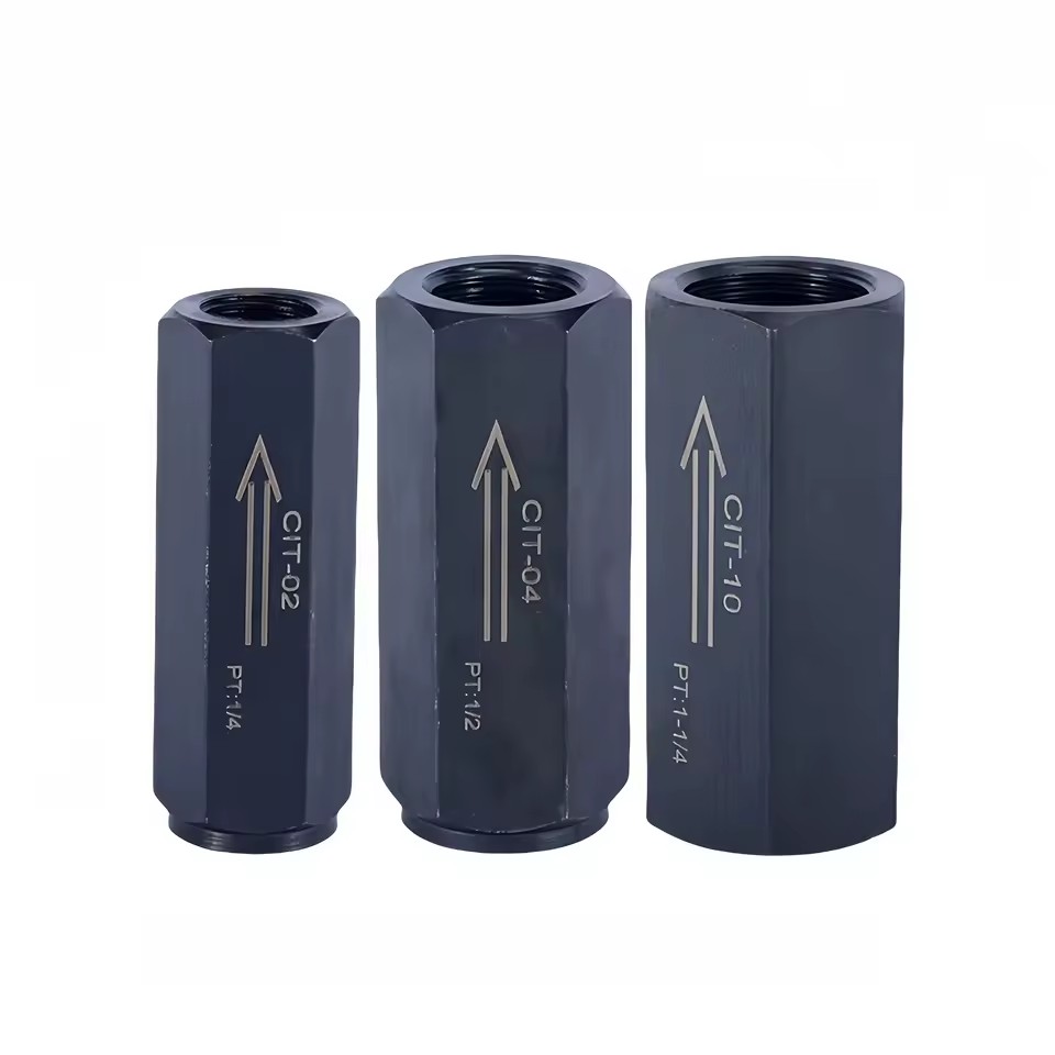 CIT-02/03/04/06/08/10/12 Series Hydraulic Safety Straight Pipe Check Valve Tube Type One-Way Valve