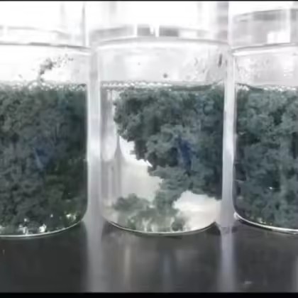 Polyacrylamide Petroleum Additives (Oilfield Auxiliaries)