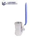 High Performance Long Lever Handle Double Female SS316 Material Heavy Duty Petroleum Chemical Processing 1pc Ball Valves