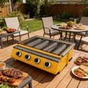 Stainless Steel Portable Grill with Pressure Vessel for Meat Processing Plants Use LPG Gas 6kg Weight