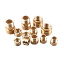Brass Inserts Model AOL -NPT/BSPT Threads Pipe Class 150 Polished Surface Low Pressure Water Supply Drainage OEM ODM