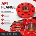 High Quality HTJL Brand API 6A6B 6BX Customize Flange Petroleum Processing Equipment API & ISO Certified High Productivity