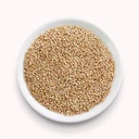 Natural White Sesame Seeds Freshly Harvested High Purity 12 Months Shelf Life Model AV-02 Available for Export Gujarat