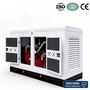 Industrial Natural Gas Generator Set 50kW 100kVA LPG Propane Silent Soundproof Genset Electric Power Plant Factory Mining