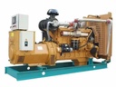 220KW Biogas CHP Unit Combined Heat & Power High Efficiency for Rural Farm Renewable Energy