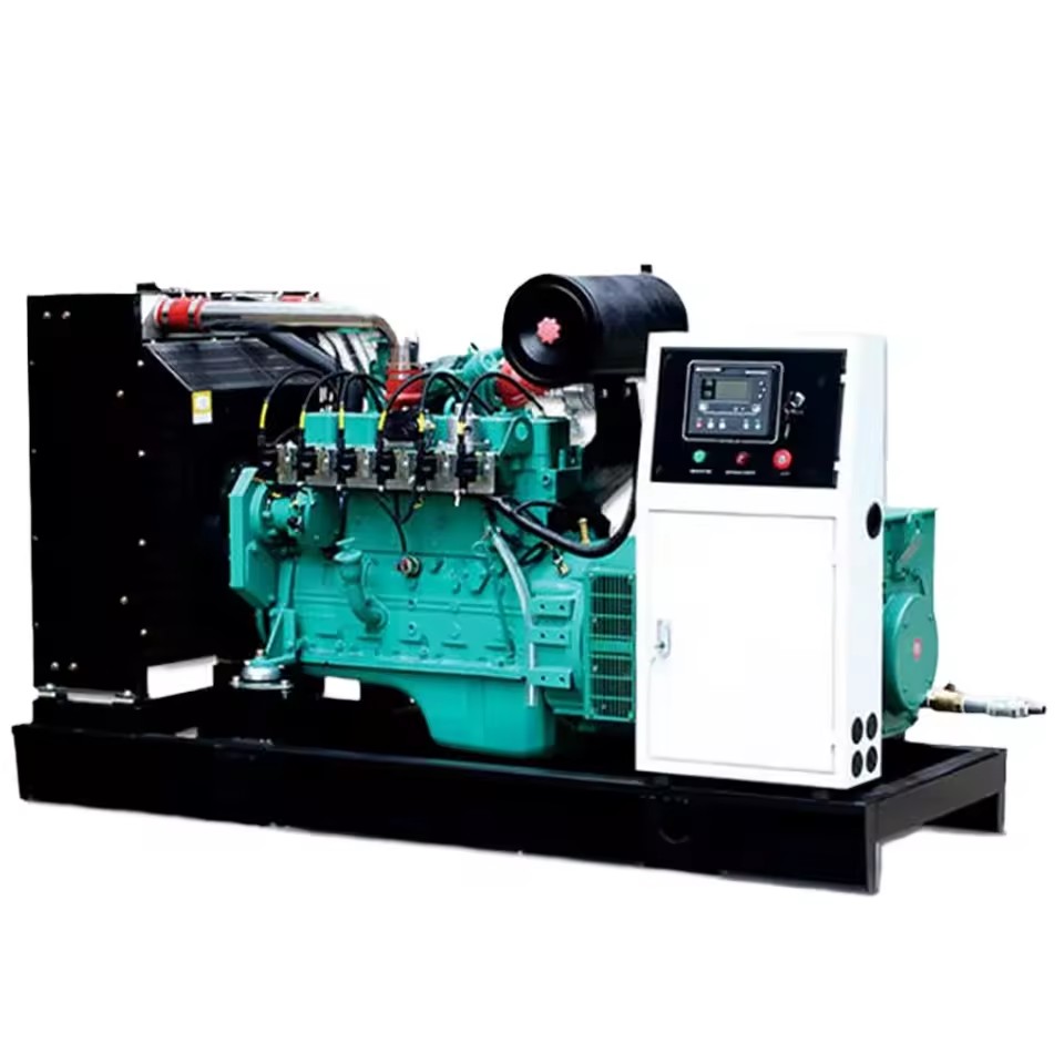 Biogas and Natural Gas Generator Dual Fuel 30kW Small Scale Gas Gen-set with Electronic Governor for Poultry Farm
