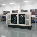150kW 187.5KVA Natural Gas & Biogas LPG Gas Generator with Electric Start Water Cooling 95% Efficiency 400/230V