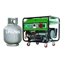 5KW-400KWNatural Gas Power Generator Small Gas Generators for Sale