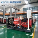 Natural Gas Power Plant 20kva 25kva 80kva 100kva 200kva 250kva 325kva Natural Gas Generator AC 3 Phase High Efficiency