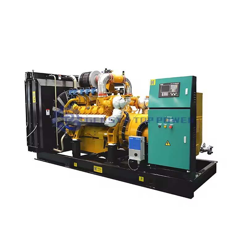 Newly Developed 95% Efficient Gas Turbine Generator Set Syngas Biogas Natural Gas Backup Power System IP55 Rated CN/SHN