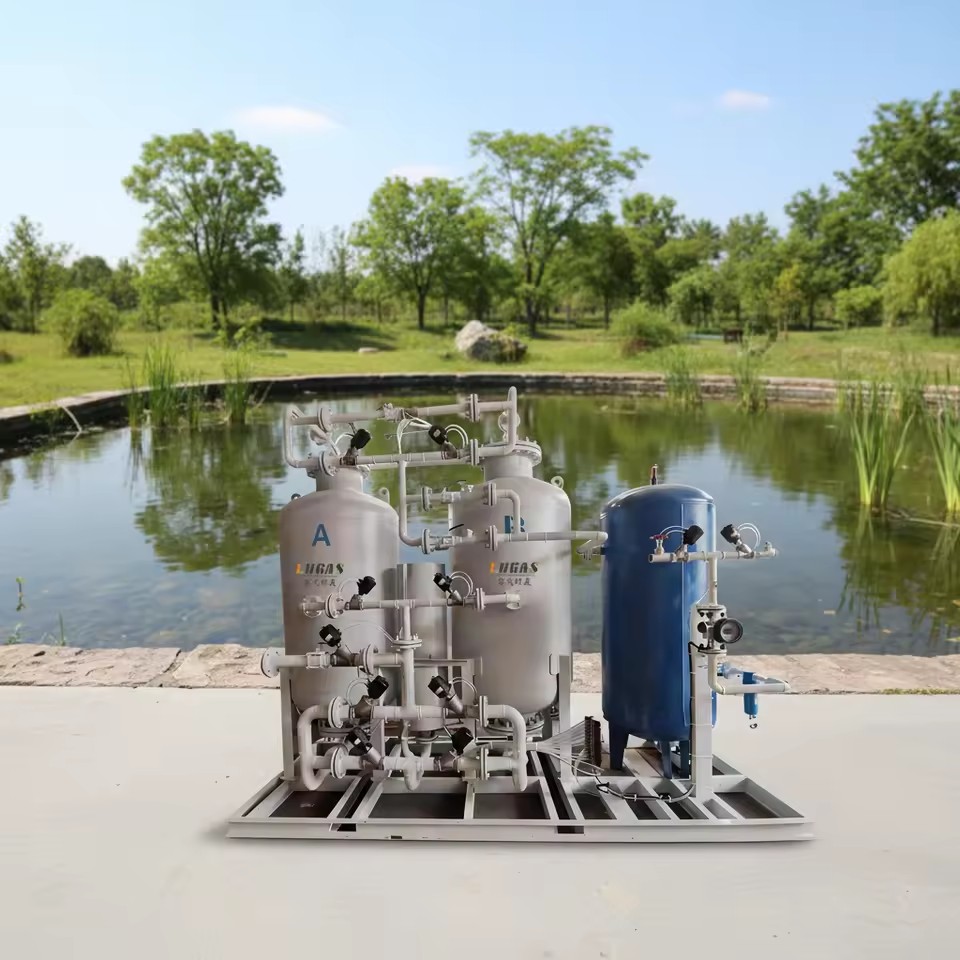 CE Certified Source Factory Complete Installation of PLC Controlled Pressure Swing Adsorption Oxygen Generator for Fish Ponds.