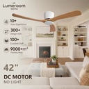 In Stock Solid Wood Blade Ceiling Fan 42 Inch No Light Energy Efficient DC Motor with Remote Control Indoor Fan