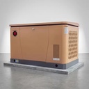 8kW Gas Powered Home Generator Natural Gas LPG Dual Fuel Automatic Start Quick Installation Multi Location Use