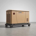 12kW Home Backup Generator Natural Gas LPG Dual Fuel Auto Start Flexible Installation Three Function Stand