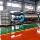1.5t/h Compact WNS Oil Gas Boiler 1MW Fully Automatic Industrial Steam Generator for Large Scale Garment Steaming Line