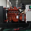 50kW Water Cooled Yuchai Gas Generator Set, Auto Start, Silent and Open Frame Optional