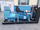 Hospital Emergency Backup Power 280kW 350kVA Yuchai Gas Generator Set, Auto Start High Power Stable Output