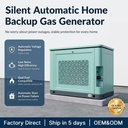 18kW / 22kVA Residential Backup Generator Dual Fuel NG LPG Easy Installation Moisture Resistant Support Stand