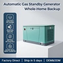 ApexGen 24kW / 30kVA Three Phase Liquid Cooled Generator Dual Fuel NG LPG Automatic Backup for Commercial Use